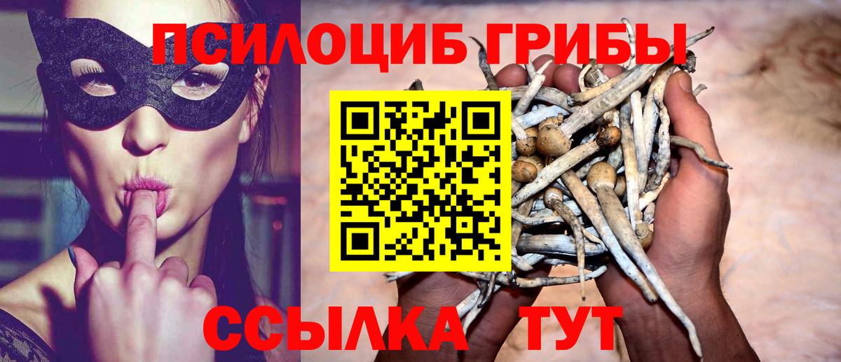 Псилоцибиновые грибы Magic Shrooms Великий Новгород